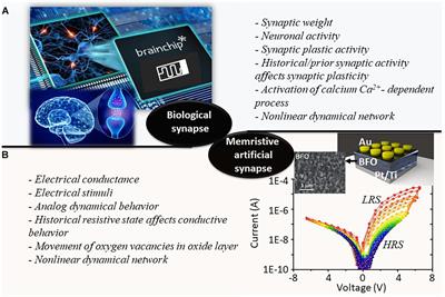 Synaptic Plasticity in Memristive Artificial Synapses and Their Robustness Against Noisy Inputs